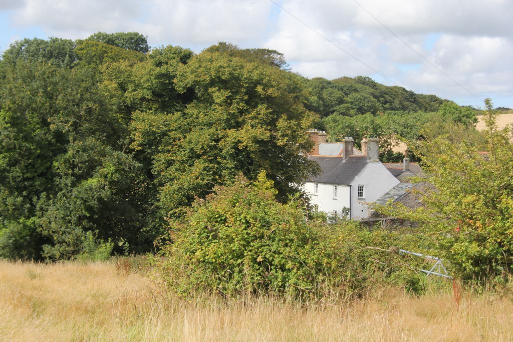 Costislost House Wadebridge Dış mekan fotoğraf